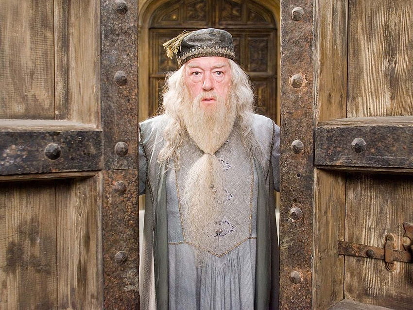 Hogwarts Professors Albus Dumbledore . Harry potter HD wallpaper