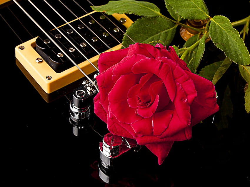 A gift for the musician, rose, soul, music, musician, flower, red, guitar, gift HD wallpaper