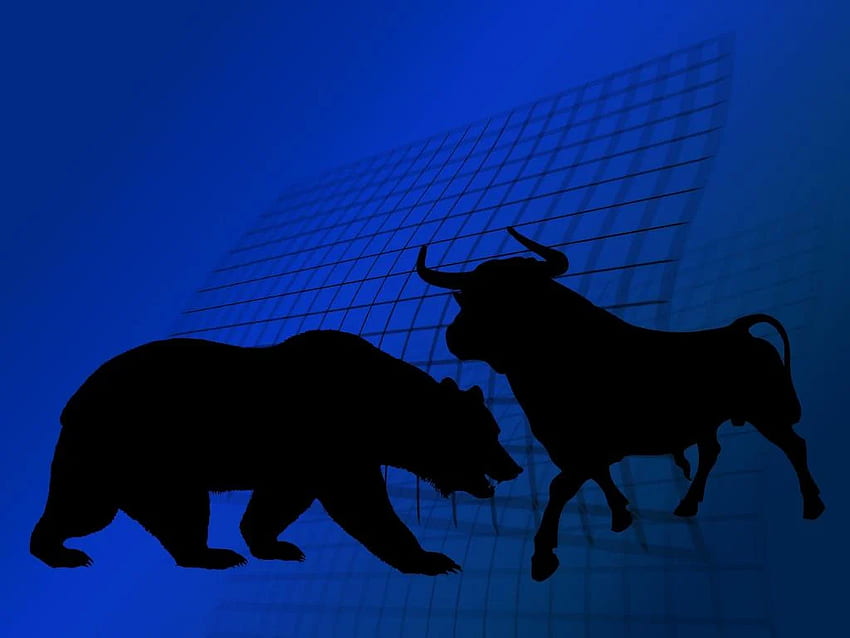 Bulls And Bears Of The Week: Gilead, Shopify, Tesla And More, Bull vs Bear  HD wallpaper | Pxfuel
