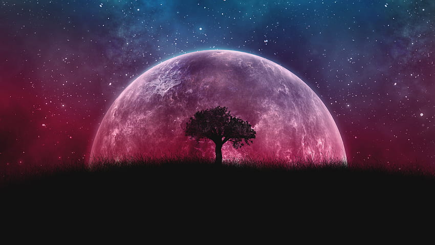 Planète, arbre, lune, galaxie, étoiles, ciel, silhouette , , Dual Wide, Widescreen 16:9, Widescreen, 2560x1440 Galaxy Fond d'écran HD