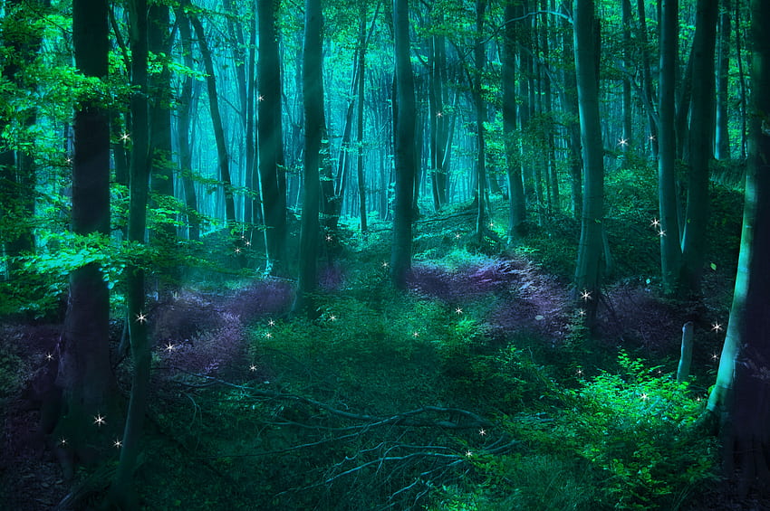 Verzauberter Waldhintergrund, mystischer Wald HD-Hintergrundbild