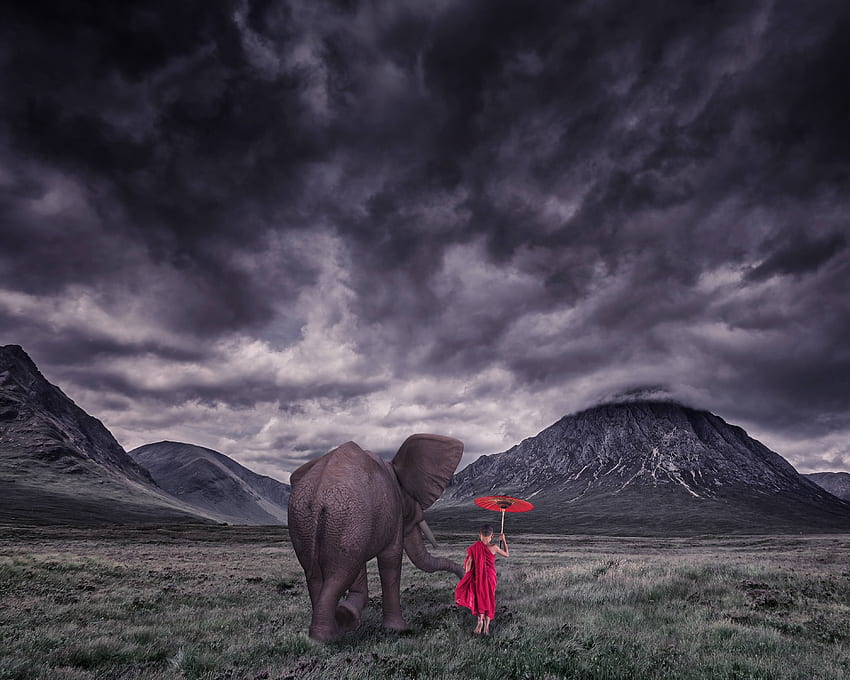 Giovane monaco buddista con elefante 3750×3000 - Hill You Sfondo HD