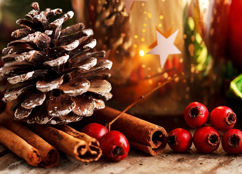 bump cinnamon sticks red berries holly leaves scenery holiday, Christmas Holly HD wallpaper