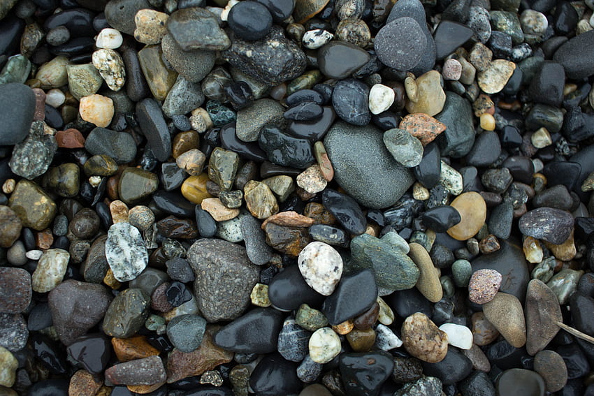 Natura, kamienie, morze, mokre, wilgotne, morskie Tapeta HD