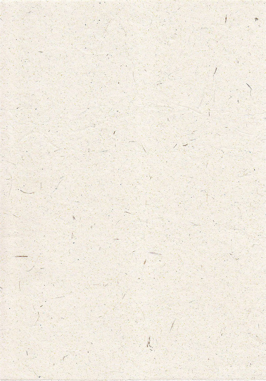 Papier A4 blanc éléphant. Texture papier recyclé, Texture papier Fond d'écran de téléphone HD