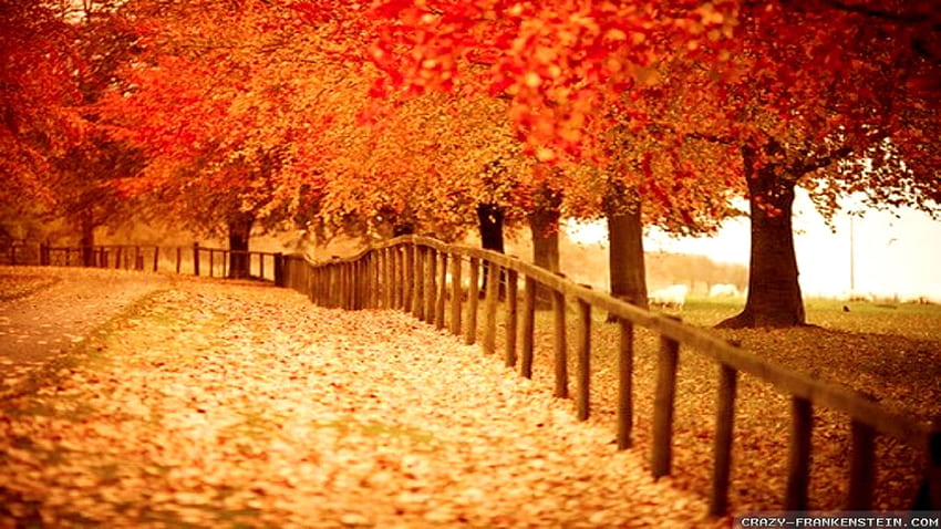 Autumn for, Rustic Autumn Scenery HD wallpaper | Pxfuel