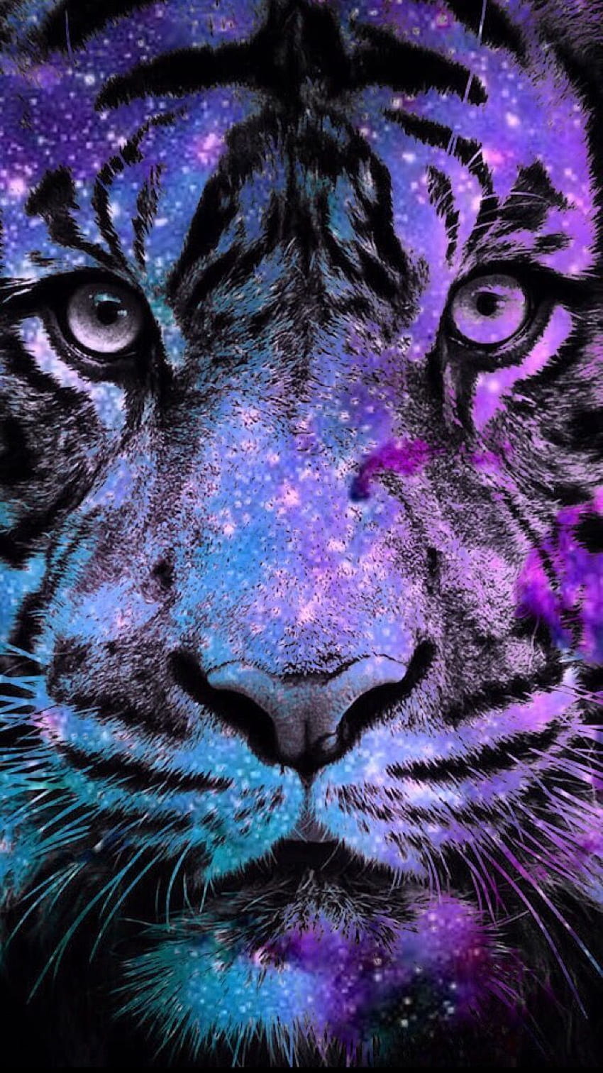 16 Galaxy Tiger Wallpapers  WallpaperSafari