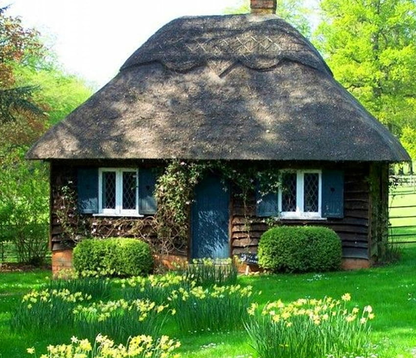Fairy Tale Cottage, grama, casa de campo, conto de fadas, casa papel de parede HD