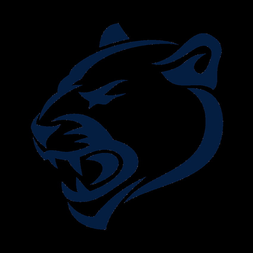Nittany Lions Wire. Get the latest Penn State Nittany Lions football and basketball news, schedules, and rumors HD phone wallpaper