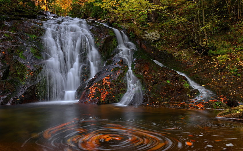 Wasserfall, Natur, Wald, Baum HD-Hintergrundbild