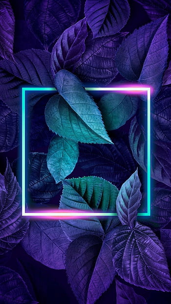 Neon iphone neon purple aesthetic HD wallpapers | Pxfuel
