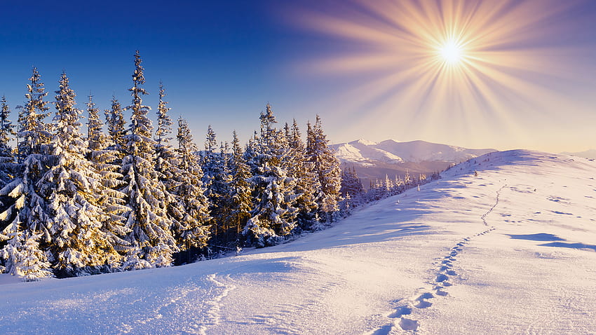 Schneesonne, Winter, Landschaft, schön, Natur, toll, Sonne, Wald, Eis HD-Hintergrundbild