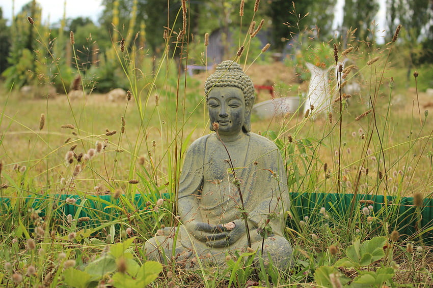 Grass, Buddha, , , Buddhism, Meditation HD wallpaper