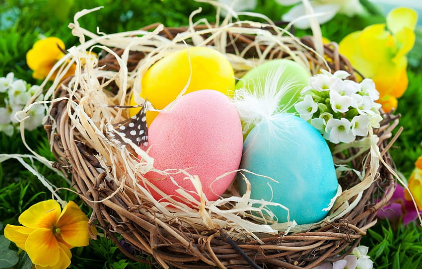 ovos, páscoa, soquete, flores, primavera, ovos, páscoa, cesta, ninho para, seção праздники papel de parede HD