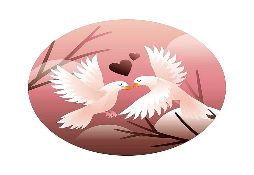 Dove Couple In Love, White, Dove, Couple, Love HD wallpaper