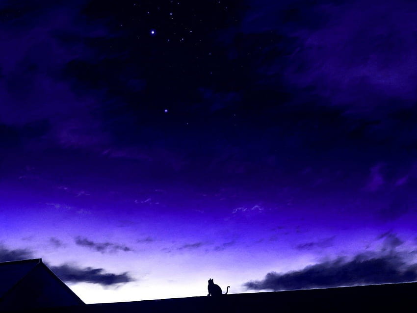 Night Full Of Stars, White, Black, Anime, Night, Original, Cute, Purple, Dark, Cat, Blue, Clouds, mks HD wallpaper