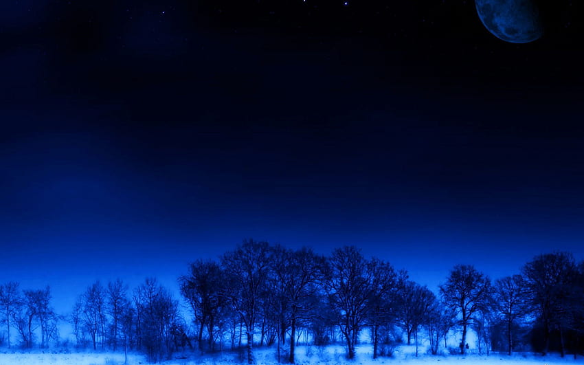 Alam, Pohon, Bintang, Malam, Bulan, Tidur, Mimpi Wallpaper HD