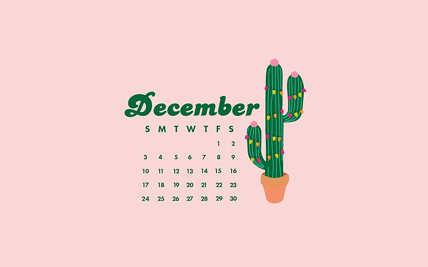 Tech , Background for December, Christmas. Brit + Co, Christmas Succulents HD wallpaper