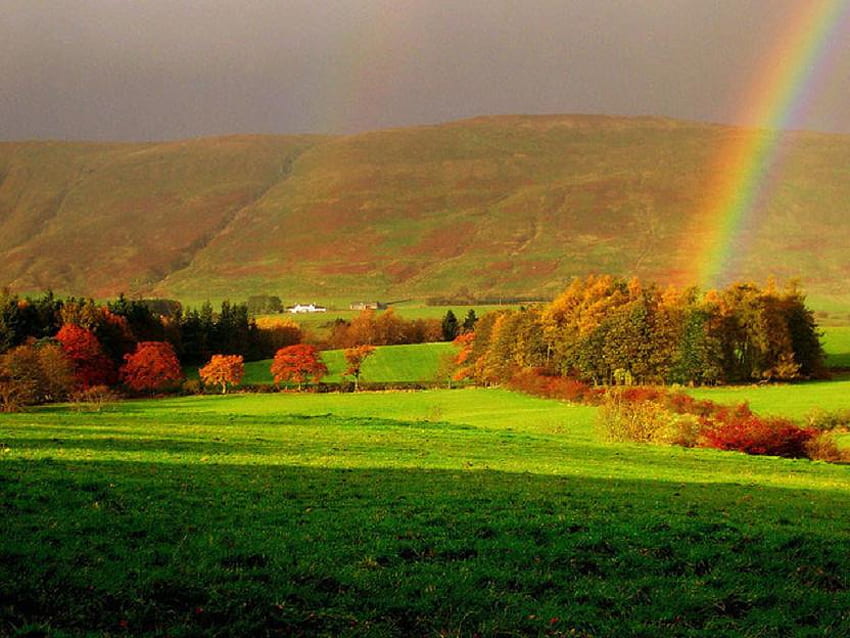 秋の虹、丘、日光、オレンジ色の赤い金、色、草、国、虹、アーチ、木 高画質の壁紙