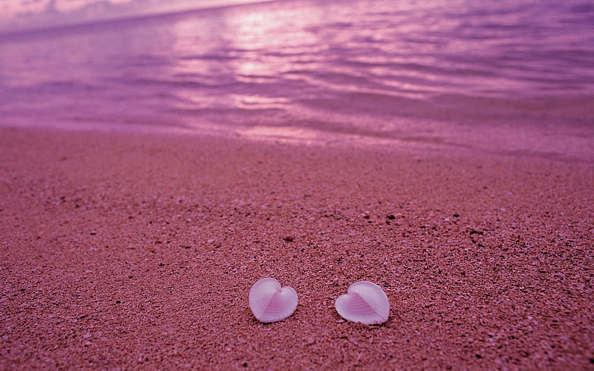Pink, Beach, Sand, Shells, Shore, Bank, , , Heart HD wallpaper