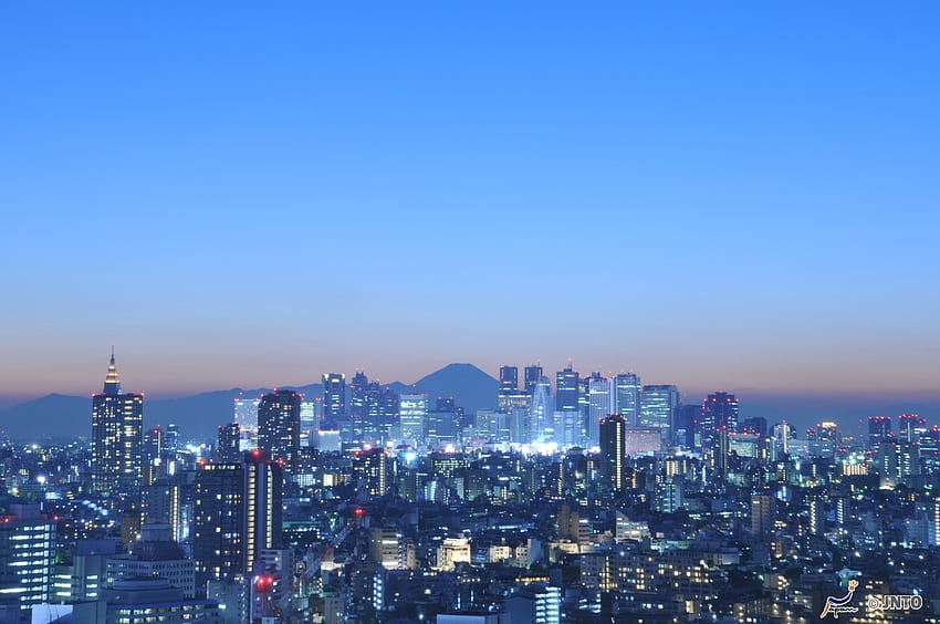 Tokyo Night View, night, japanese, scenery, city, japan, view, sky, tokyo HD wallpaper