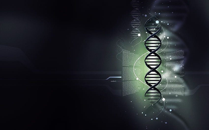 DNA Helix ad alta risoluzione [] per il tuo, cellulare e tablet. Esplora l'elica del DNA. Elica del DNA, doppia elica del DNA, elica Sfondo HD