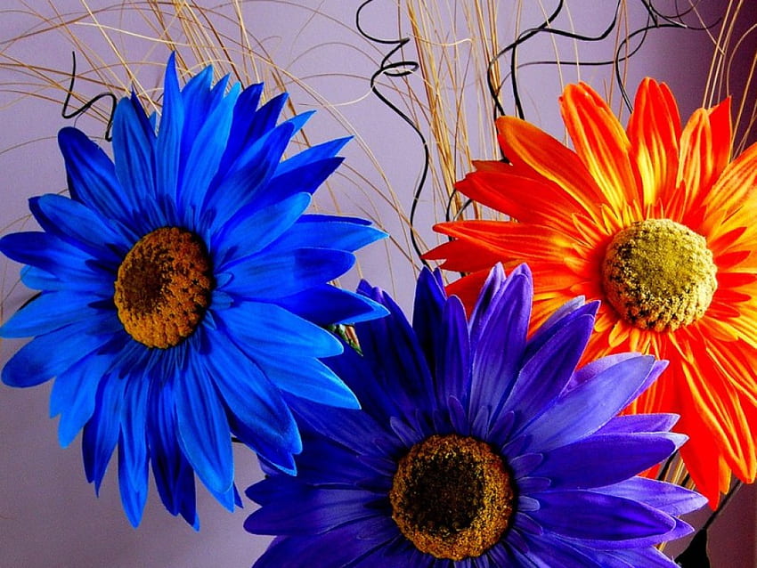 Bouquet, colorful, flowers, pretty, flora HD wallpaper