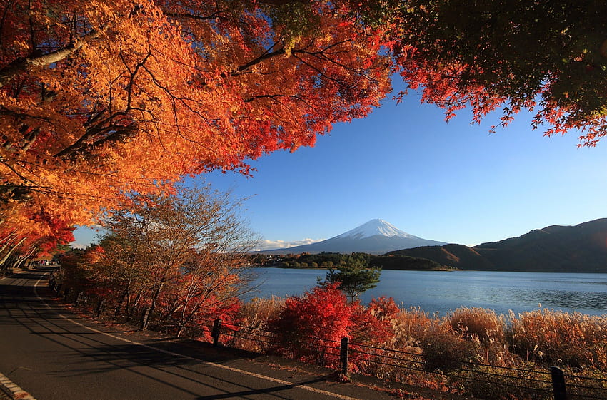 Mountains: Mountain Scenery Nature Fuji Japanese Lake Autumn Japan HD wallpaper
