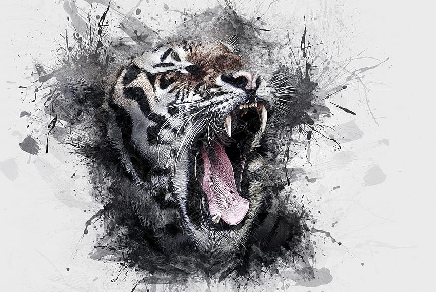 Seni, Senyum, Harimau, Cat Air Wallpaper HD