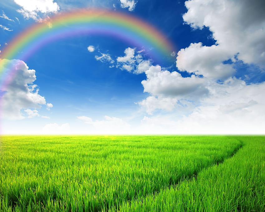 Natur-Regenbogen-Himmel-Feld-Landschafts-Gras-Wolken HD-Hintergrundbild