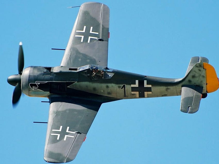 Focke Wulf Fw 190, klasik, almanca, focke, fw190, fw-190, wulf, uçak, fw, vintage, ww2, 190, savaş, eski, uçak, antik, ikinci dünya savaşı, dünya HD duvar kağıdı
