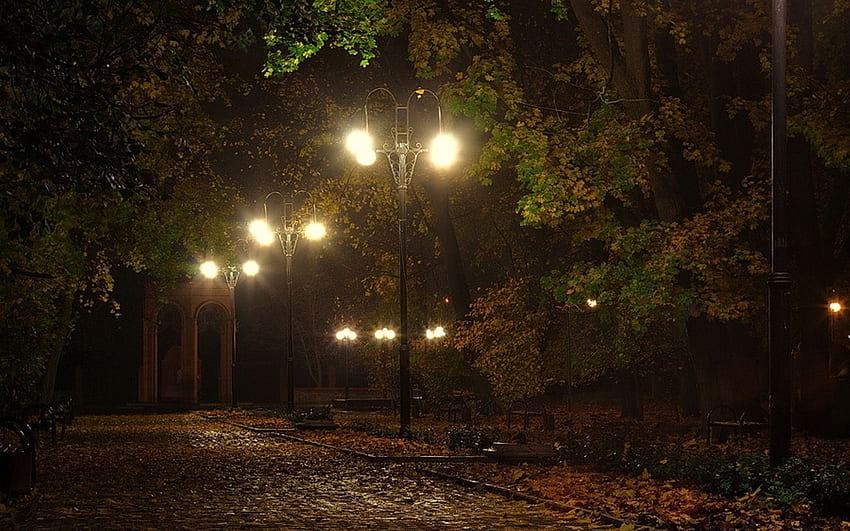 Landscapes Lamps Lamp Posts Benches Lights Night Pathways Roads, Autumn Night HD wallpaper