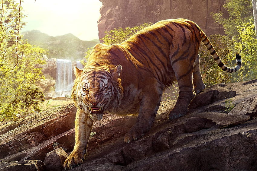 IW: Tiger, schöner Tiger, aggressiver Tiger HD-Hintergrundbild
