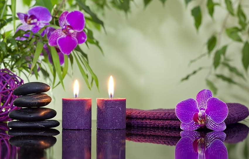 flores, velas, orquídeas, Spa piedras para , sección разное, Purple Candles fondo de pantalla