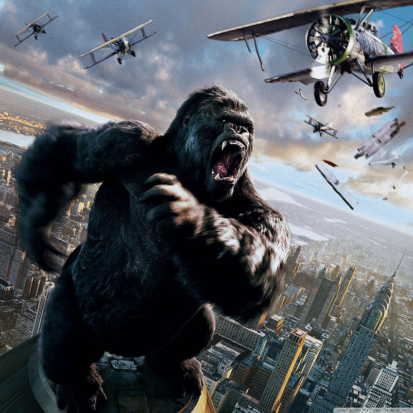 King Kong 2005 ❤ for Ultra TV HD電話の壁紙