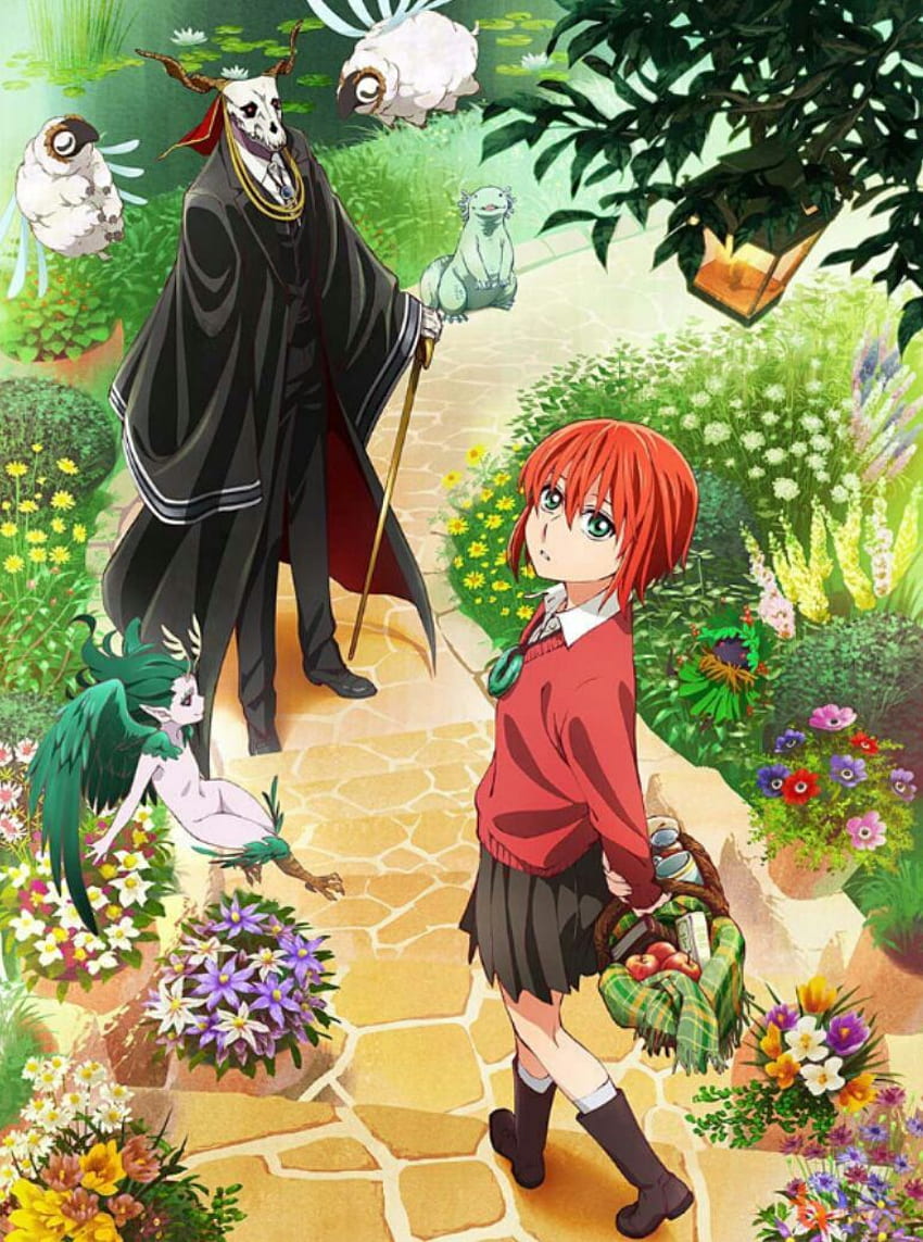 The ancient magus bride HD wallpapers  Pxfuel