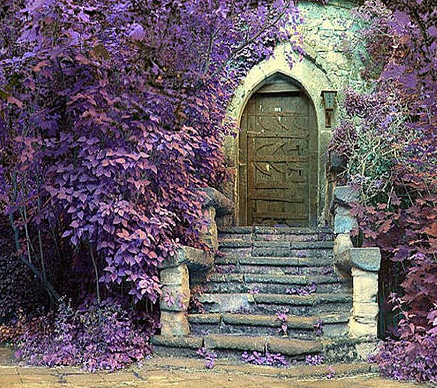 The Door To Where?, porta, bosco, lavanda, magia, fiori Sfondo HD