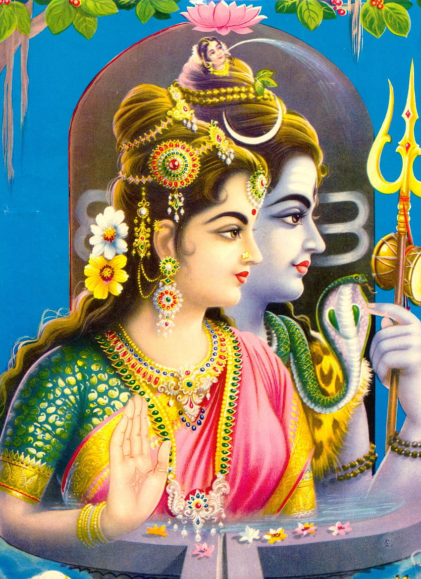 Shiv Shankar and Maa Parvati Wallpaper for Wall - Magic Decor ®