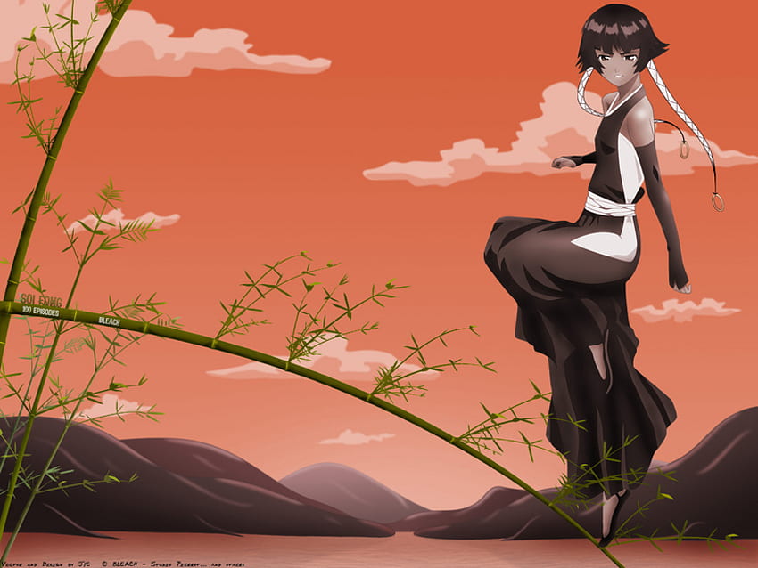 Soi Fon, bleach, mountains, anime HD wallpaper
