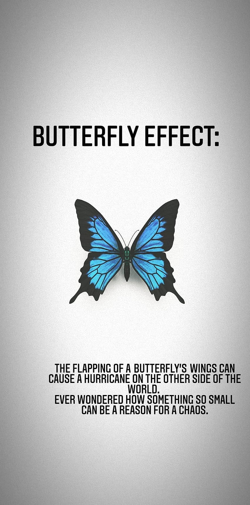 Butterfly effect. Butterfly effect theory, Theory quotes, Chaos theory HD phone wallpaper