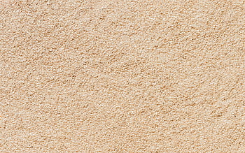 500 Sand Pictures HD  Download Free Images on Unsplash