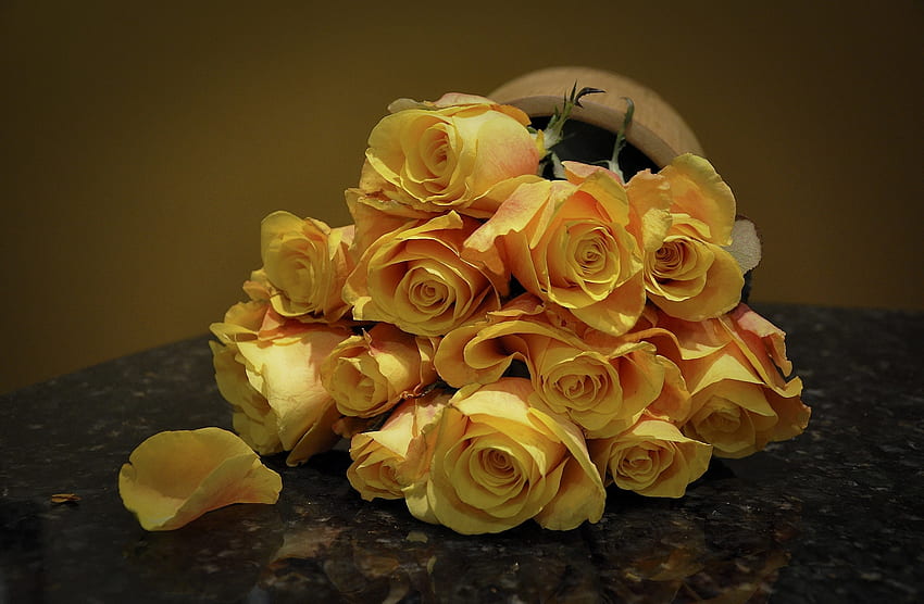 꽃, 장미, 더럽혀진, 반점이 있는, 꽃다발 HD 월페이퍼