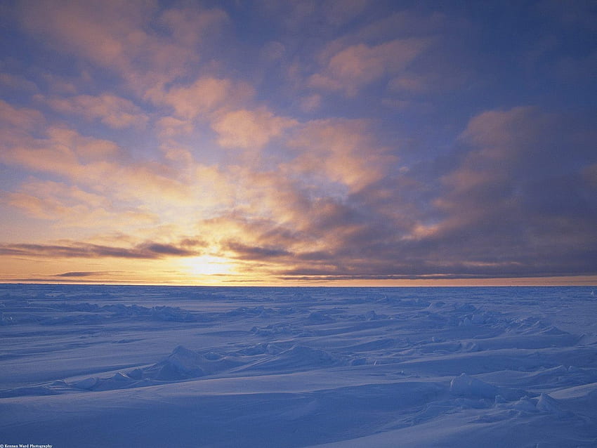 자연, 하늘, 눈, 사막, 캐나다, 감기 HD 월페이퍼