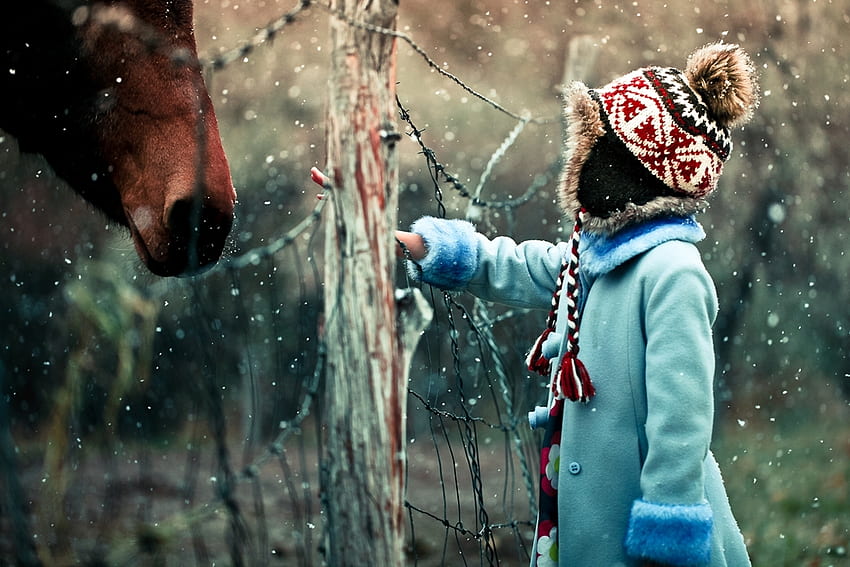 冬, 雪, 雑多, 雑多, 子供, 馬, 好奇心 高画質の壁紙