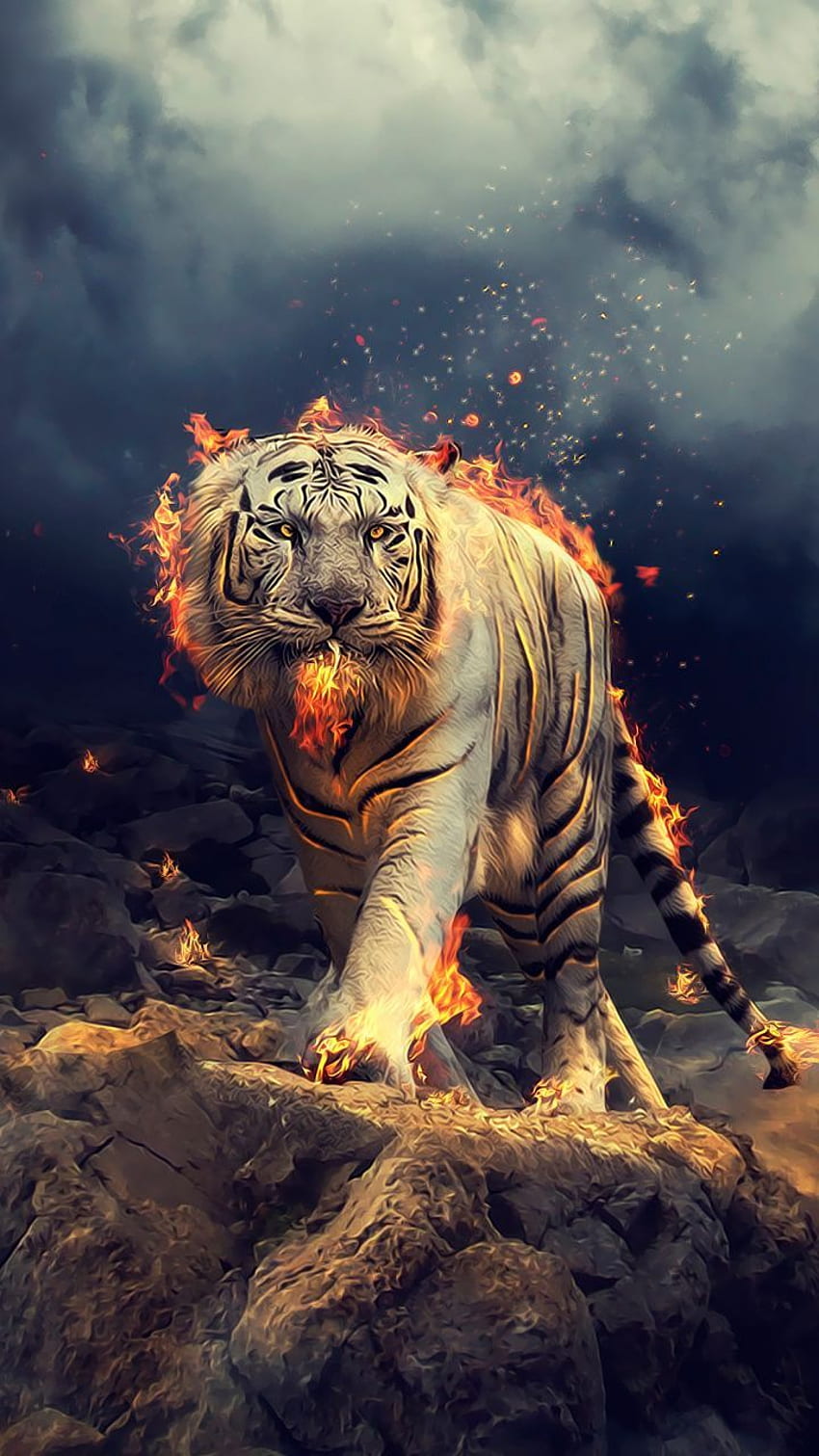 Angry, raging, white tiger, . Tiger , Wild animal , Lion, Artistic Tiger HD phone wallpaper