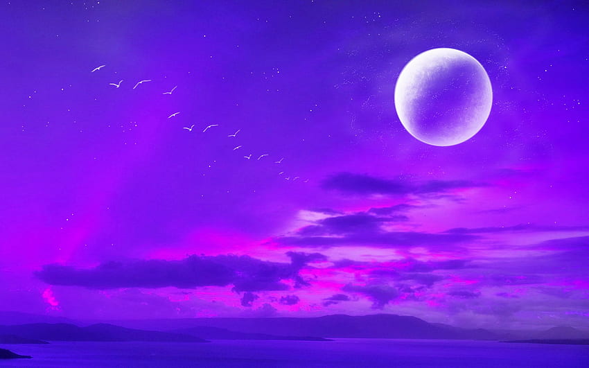紫の月と星 高画質の壁紙