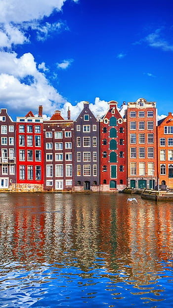 Amsterdam Wallpaper for iPhone 14  Priceo