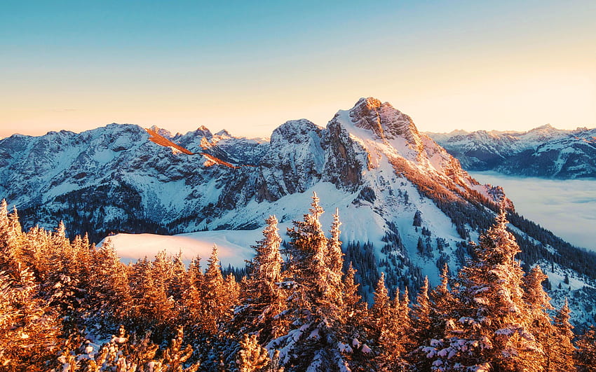 Heure d'or dans les montagnes du sud de l'Allemagne, arbres, ciel, alpes, neige, lever de soleil Fond d'écran HD