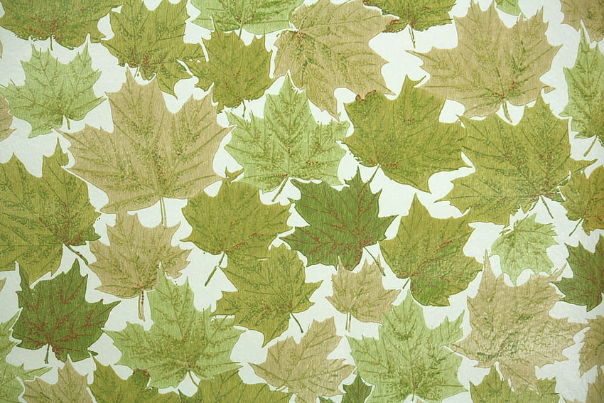 1960s Botanical Vintage . Vintage, 1960'S HD wallpaper