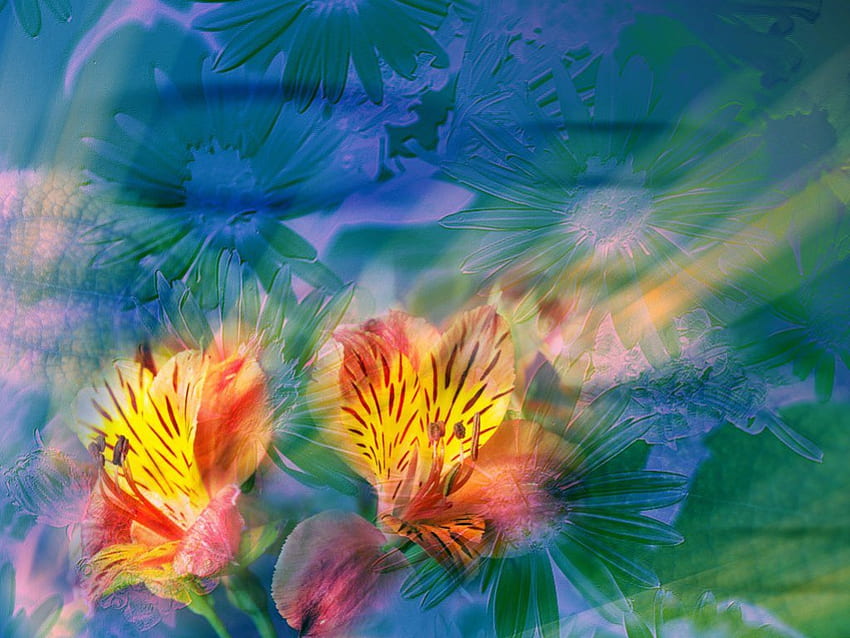 Amanecer floral, rayos de sol, flores, abstracto, arte. fondo de pantalla